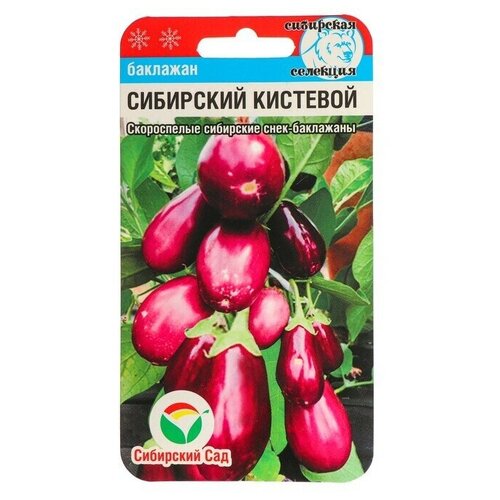 Семена Баклажан Сибирский кистевой, 20 шт 8 упаковок баклажан сибирский скороспелый семена