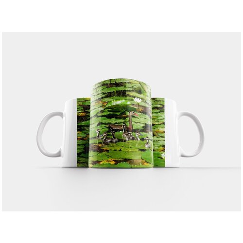 фото Кружка "утята, утка, лилии" 320 мл lotsprints