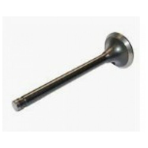 Клапан двс 274 Evotech впускной чамз