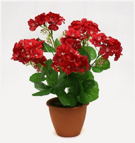 Изображение товара Искусственные цветы Holodilova "Герань красная", высота 40см, красные, зеленые