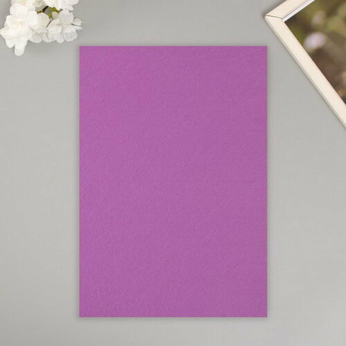 Набор жесткого фетра Астра 203₽