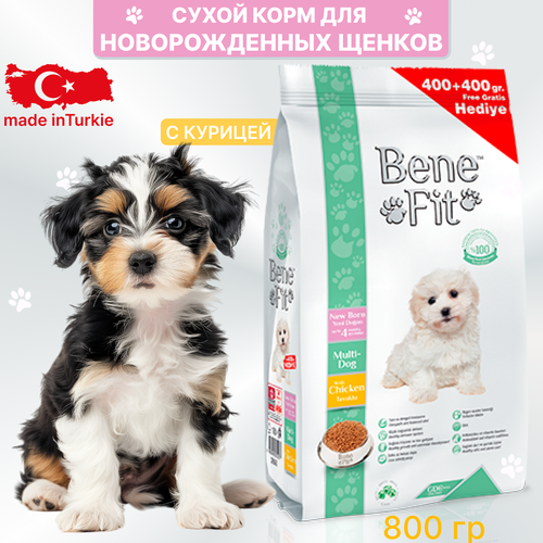 Сухой корм Benefit для новорожденных щенков Multi-Dog Born, с курицей, 800 гр