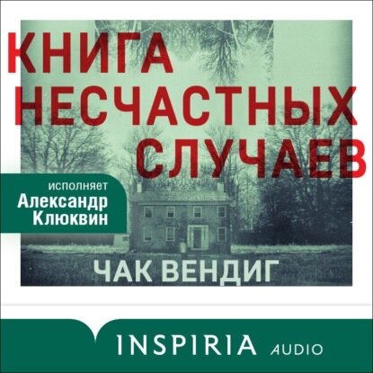Книга несчастных случаев [Аудиокнига]