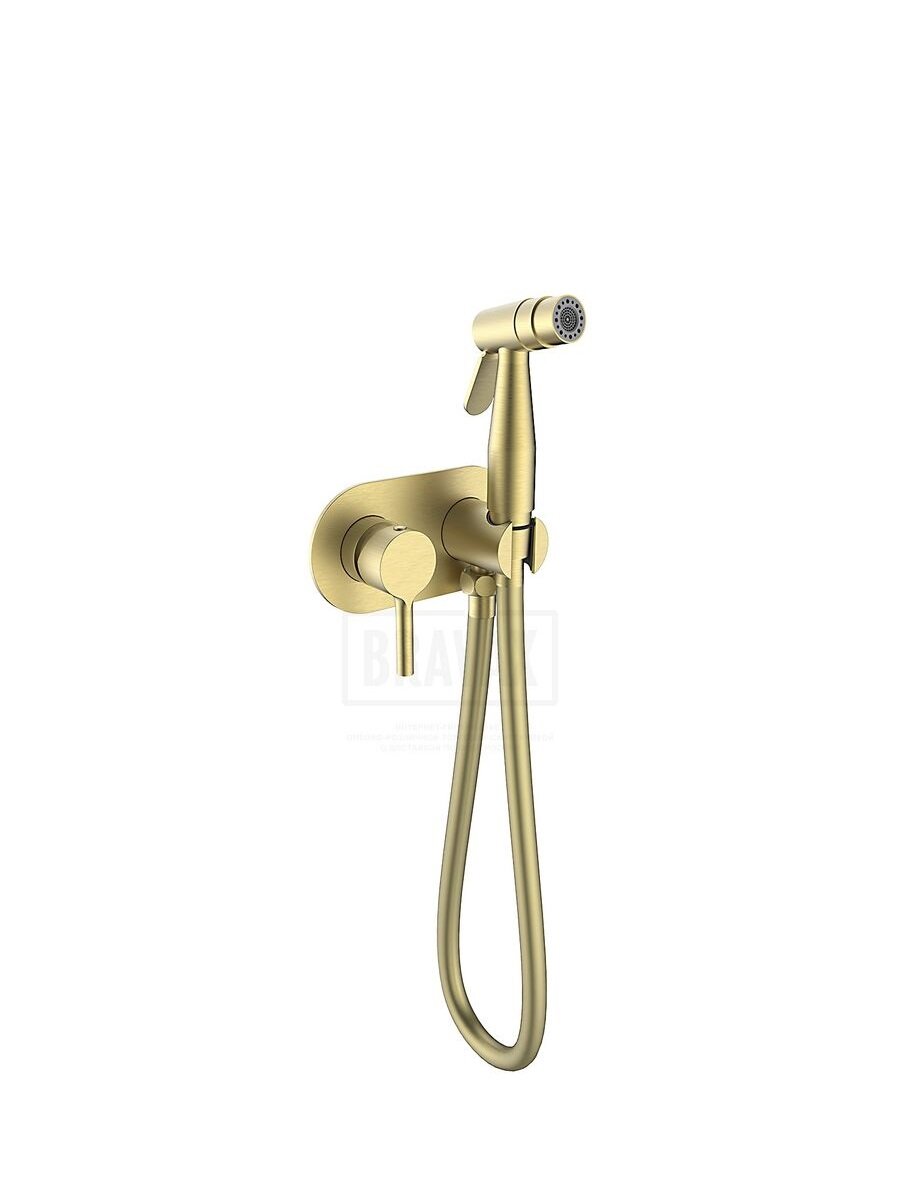 фото Смеситель с гигиеническим душем Raglo R20.52