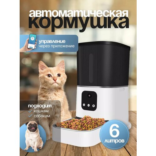 Автокормушка для кошек и собак с камерой