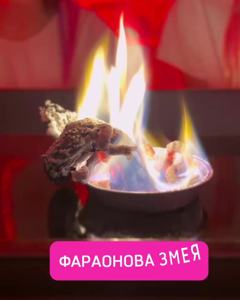 Большой набор опытов для девочек 10в1 Pandalab с подарком / Эксперименты для детей / Подарок девочке — фото 1
