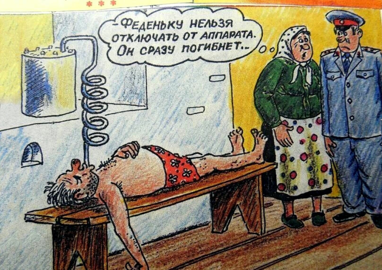 �����������