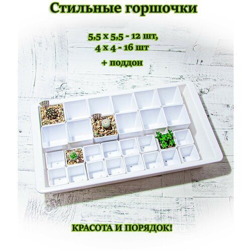 Стильные белые горшочки с поддоном (поддон с бортиками 40х22,5х7 см + горшки 5,5 см - 12 шт. + горшки 4 см - 16 шт.)