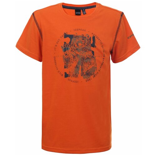 Футболка для активного отдыха детская Icepeak Keene Jr Lead Grey (Рост:122)