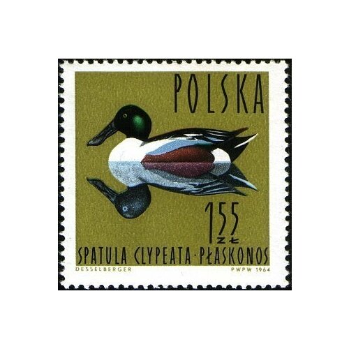 (1964-039) Марка Польша Широконоска Водоплавающие птицы II Θ