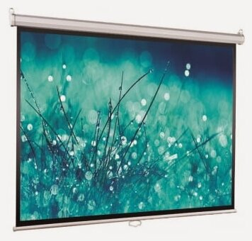 Изображение товара Экран Viewscreen ручной Scroll (4:3) 203*153