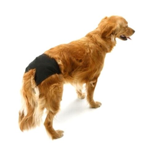 Buddy, трусы гигиенические №0 (длина 22см/ширина верх 11см/ширина низ 6см)