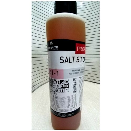 161-1 PRO-BRITE SALT STONE Средство против высолов фасадов зданий, строительных конструкций, а также др. кислотостойких поверхностей. 1 л.