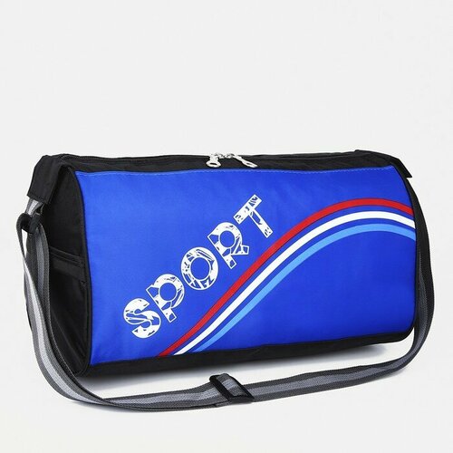 фото Сумка спортивная 20 см, синий roomlandia