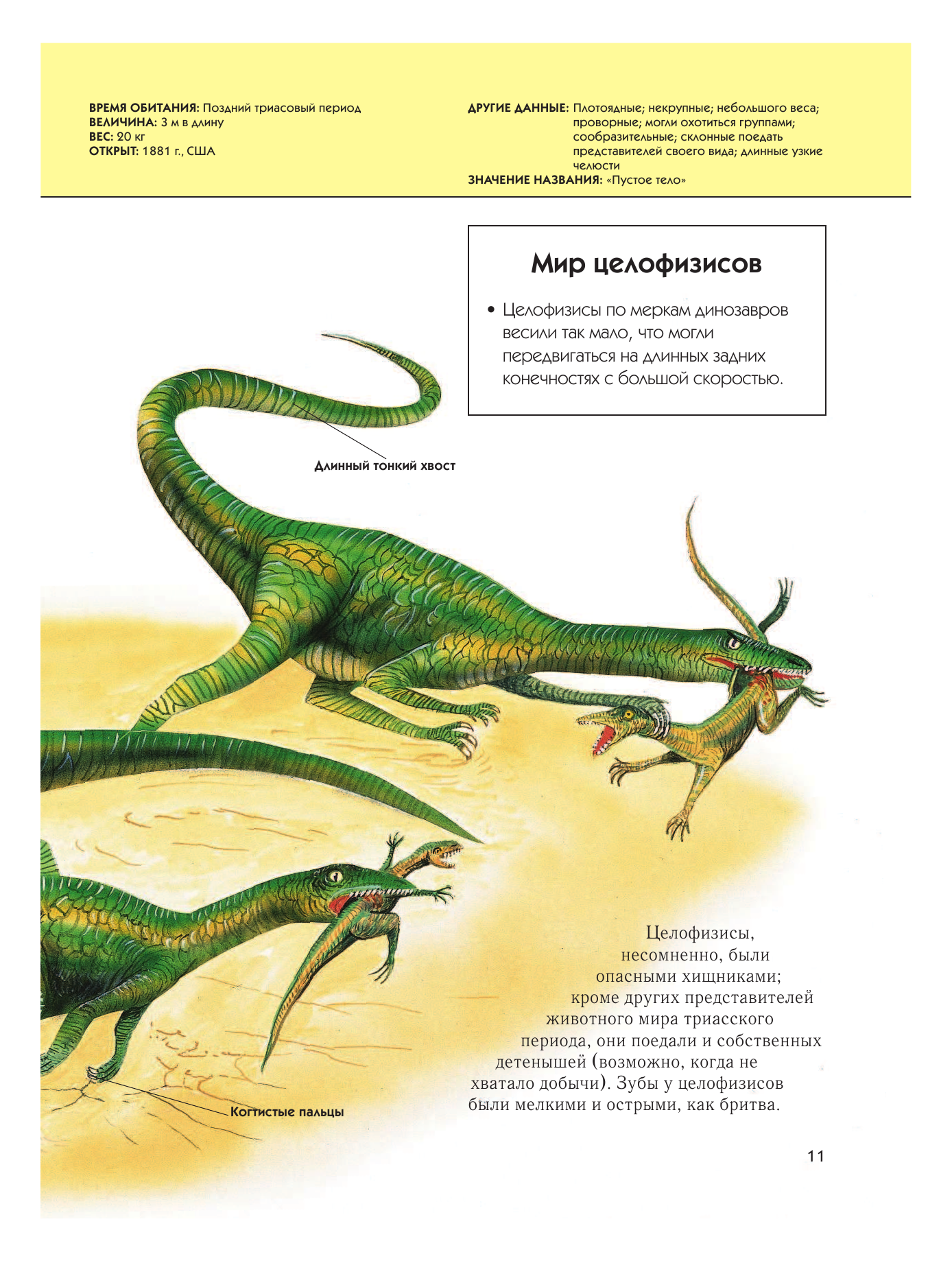 Динозавры. Полная энциклопедия - фото №13