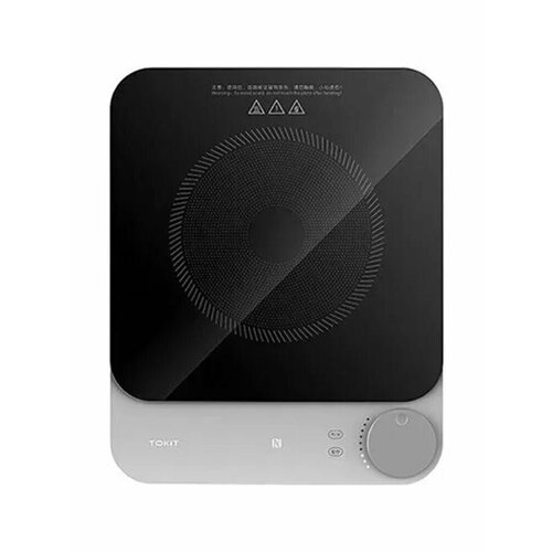 Индукционная плита Tokit Gray TCL03M 780000₽