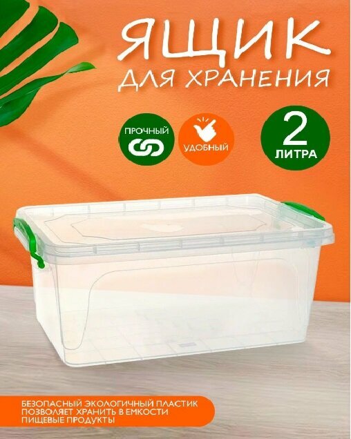 Контейнер elfplast "Fresh Box" slim (прозрачный) 2 л, 25.5х17.3х85 см 240