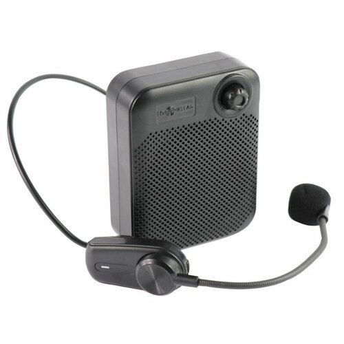 Громкоговоритель Говоритель П-21, 30Вт, беспров мкф, Bluetooth