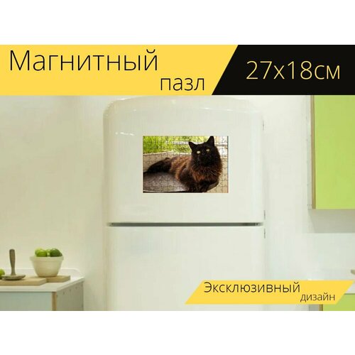 Магнитный пазл Кот, мейн кун, домашнее животное на холодильник 27 x 18 см.