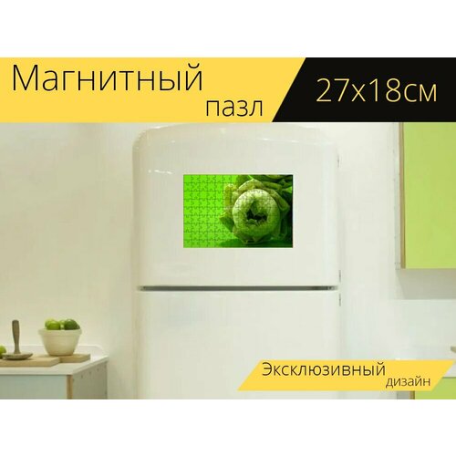Магнитный пазл Белый, цветок, лотос на холодильник 27 x 18 см. магнитный пазл лотос зеленый белый на холодильник 27 x 18 см