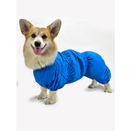 Комбинезон на Корги ДжекиДог для собаки-мальчика 50 голубой 2490₽