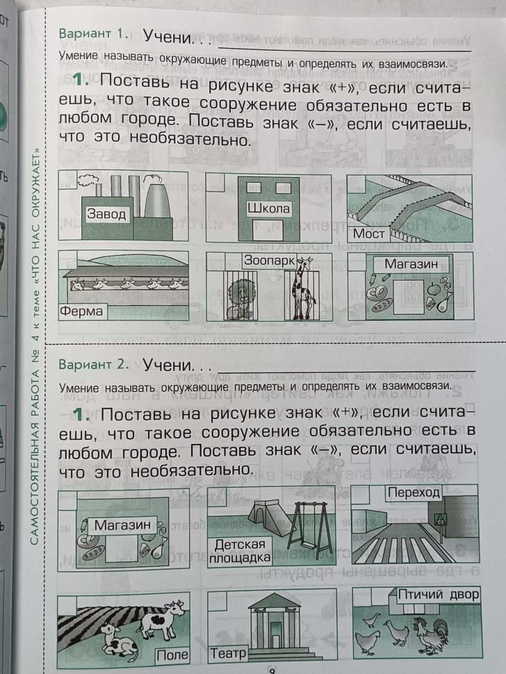 Самостоятельные и итоговые работы к учебнику "Окружающий мир" ("Я и мир вокруг") для 1 класса. - фото №16