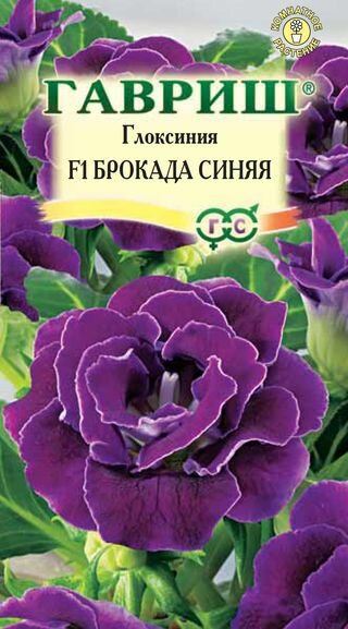 Глоксиния Брокада синяя F1 гранул. 4шт. пробирка Саката серия Эксклюзив