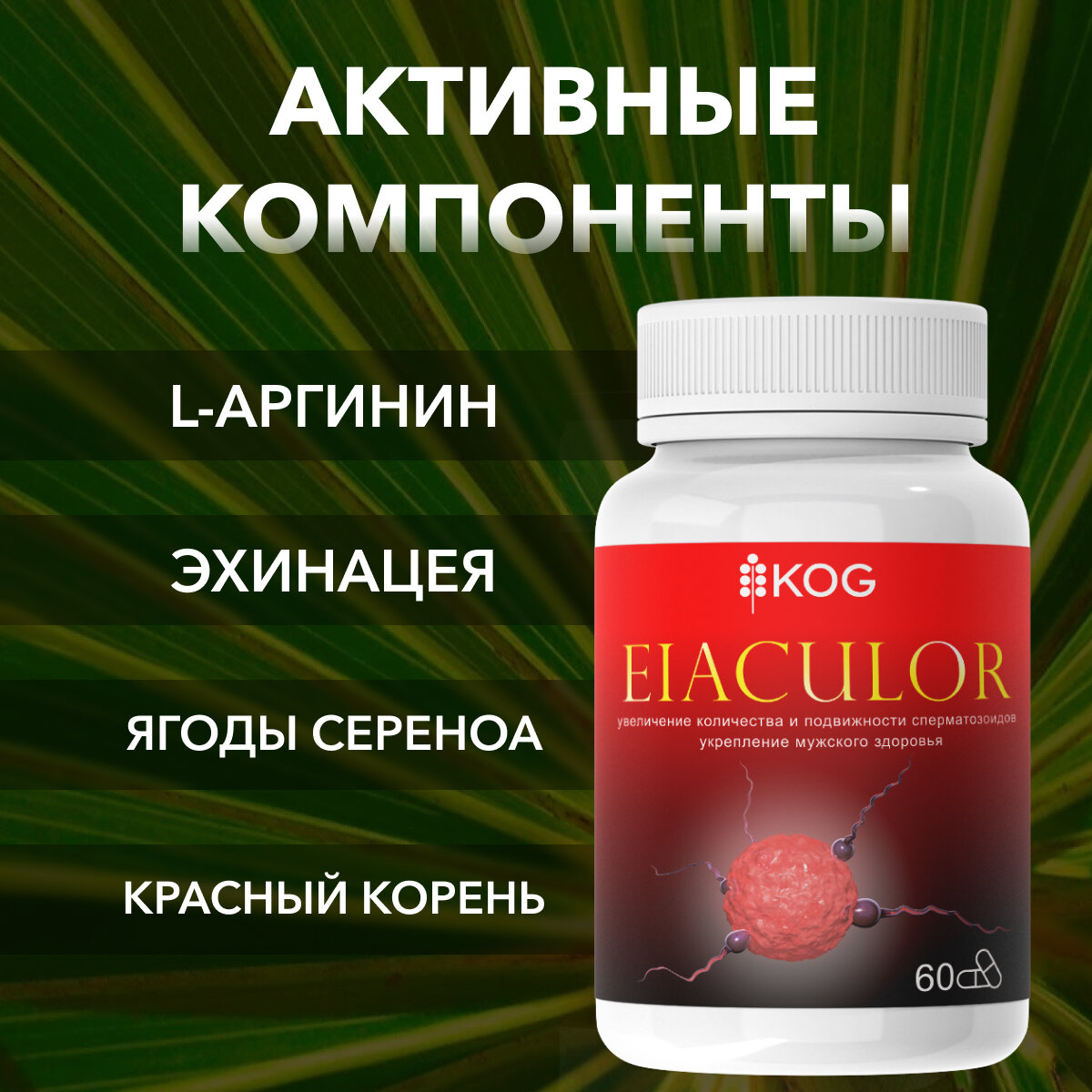 Гомеопатические Препараты Для Мужского Здоровья Eiaculor Средство для фертильности сперматозоидов и потенции Еиакулор