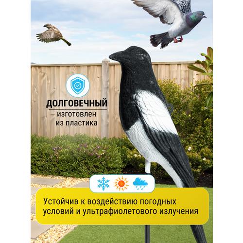 фото Отпугиватель птиц сорока коршун