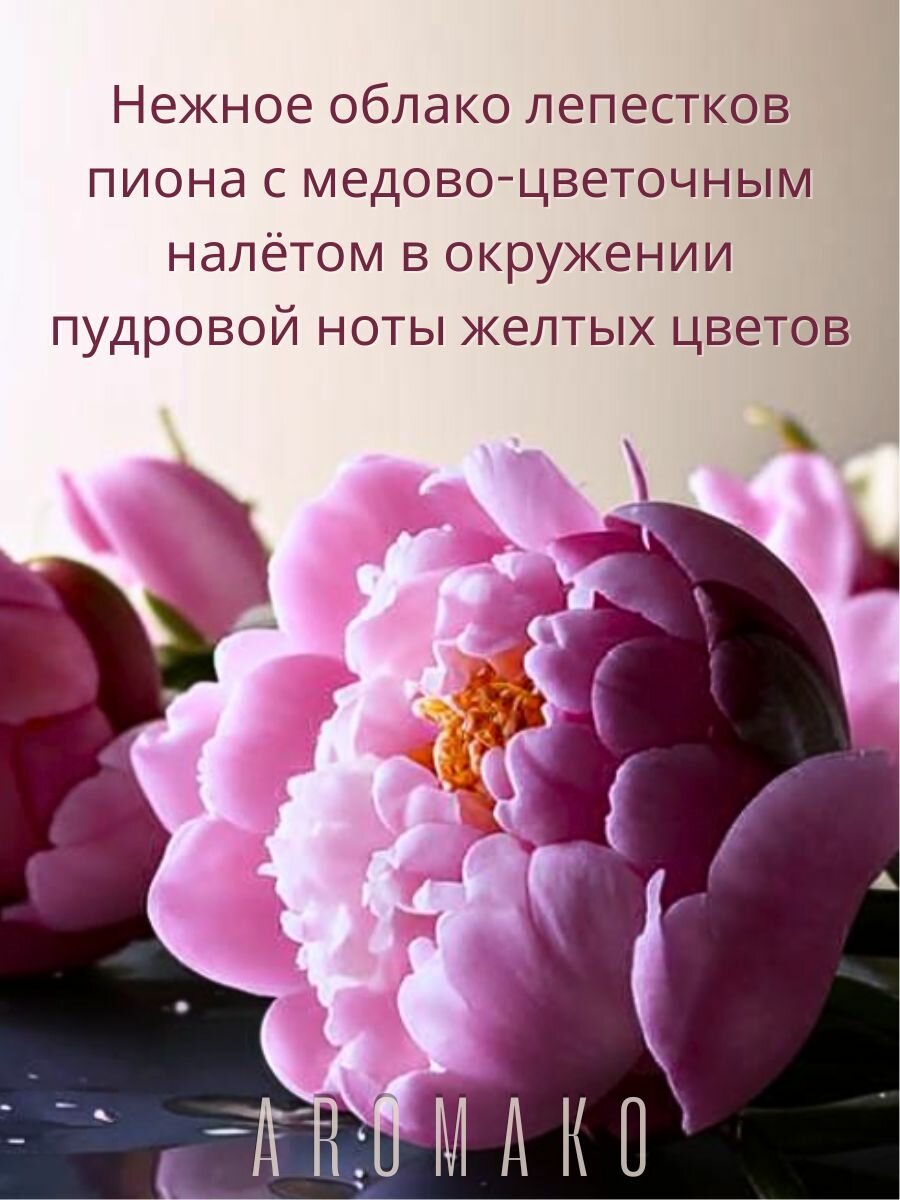 Ароматический диффузор с палочками Пион и мимоза 50 мл, ароматизатор для дома и офиса, парфюм для дома AROMAKO — фото 1