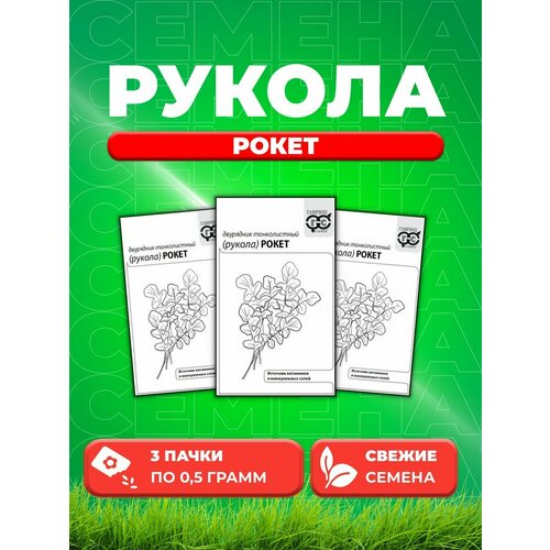 Двурядник тонколистный (Рукола дикая) Рокет 0,5 г б/п (3уп) саженец бузульник узколистный рокет