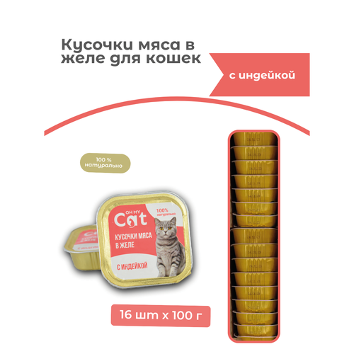 Консервы для кошек Oh my cat с индейкой в желе 100 г х 16 шт.