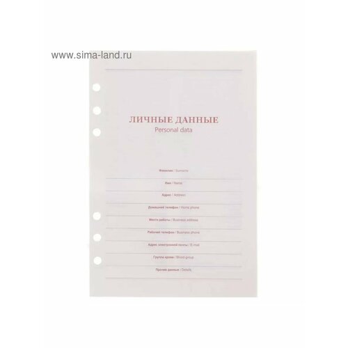 Сменный блок для органайзера А5 80 листов 680₽