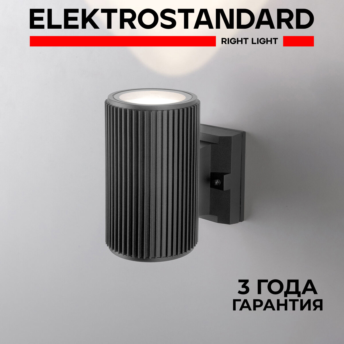 Уличный настенный светильник Elektrostandard Strict 1404 TECHNO серый IP54