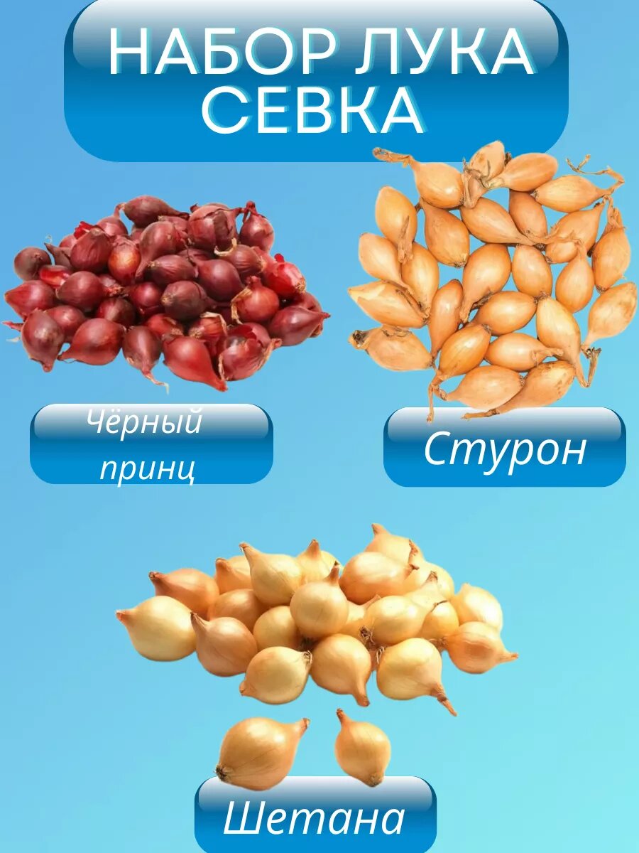 Набор лука севка по 05кг