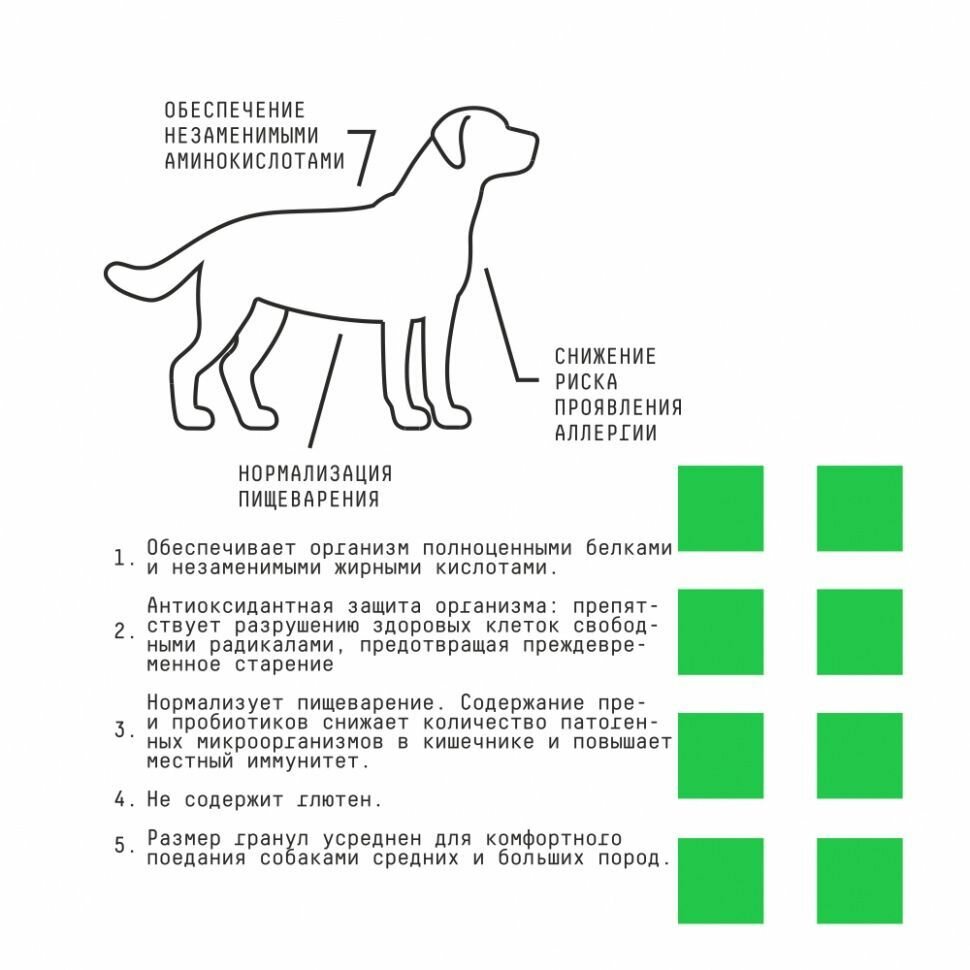 Сухой полнорационный корм AJO Dog Hypoallergenic для взрослых собак средних и крупных пород, склонных к аллергиям, с гречкой, 12кг — фото 1