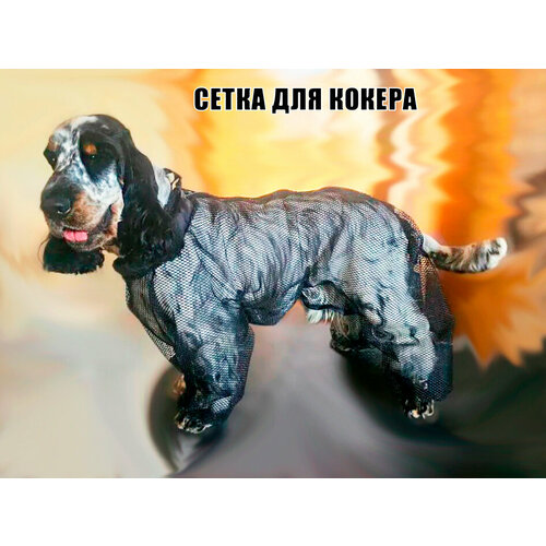 Комбинезон-сетка для английского кокер-спаниеля кобеля, цвет черный