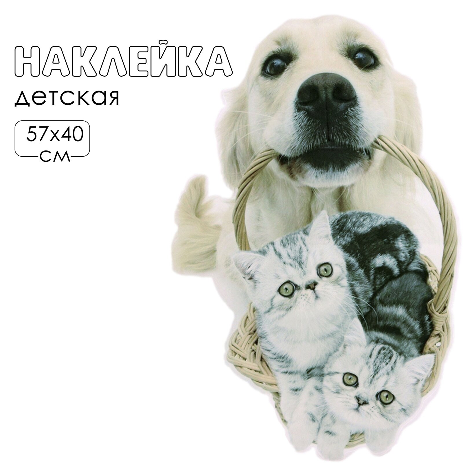 Интерьерная наклейка 3Д TAKE IT EASY «Домашние питомцы пришли», 57×40 см