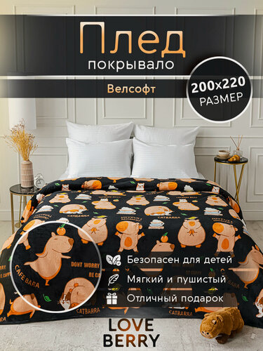 Изображение товара Плед 200х220 LOVEBERRY из велсофта на кровать для спальни, Капибара