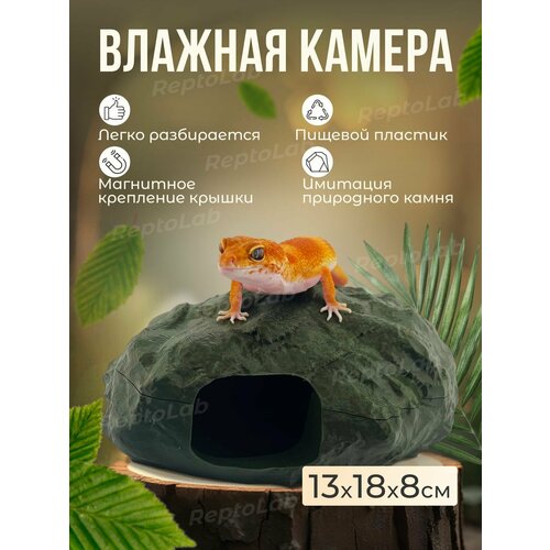 Влажная камера для гекконов и эублефаров. Цвет: Зеленый.