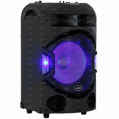 Портативная аудиосистема Aceline V880 черный 64497₽