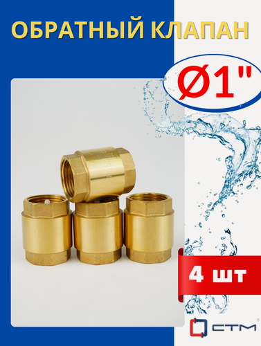 Изображение товара Обратный клапан латунный 1 (дюйм) пластиковый шток (СТМ) 4шт.