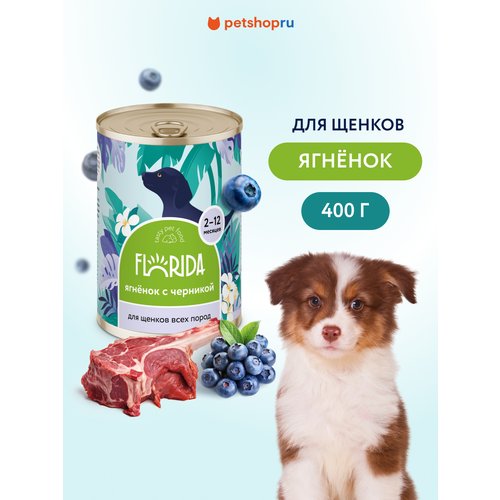 FLORIDA Консервы для щенков "Ягнёнок с черникой", 400 г