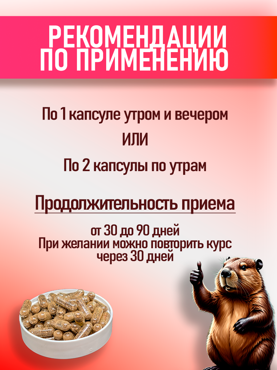 Комплекс бобровой струи ДОБРЫЙ БОБР, укрепление иммунитета, 30 капсул — фото 1