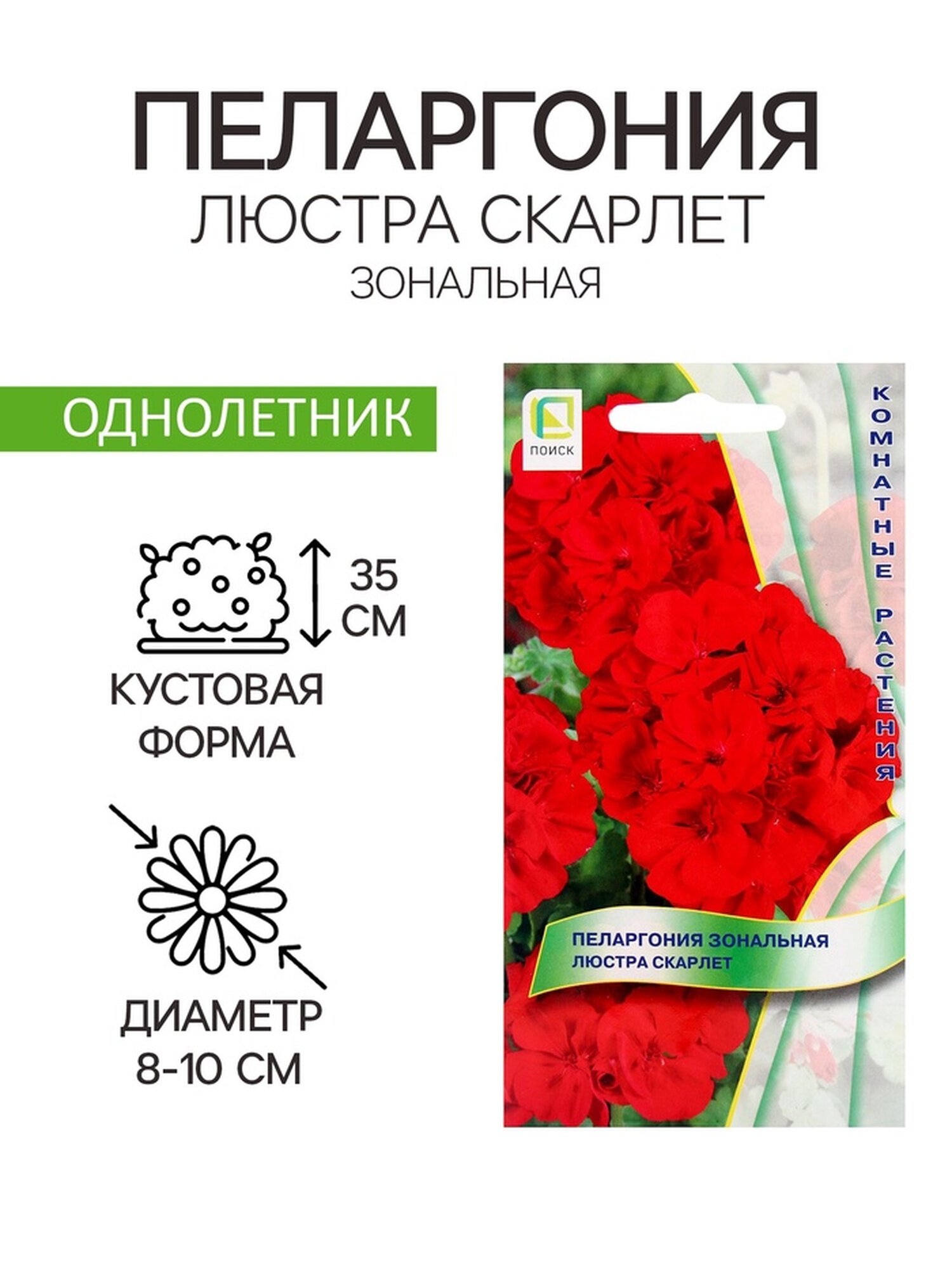 Семена цветов Пеларгония зональная Люстра Скарлет 5шт