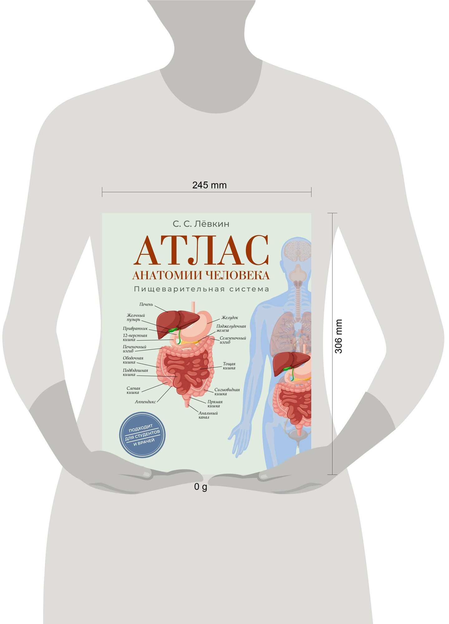 Атлас анатомии человека. Пищеварительная система — фото 1