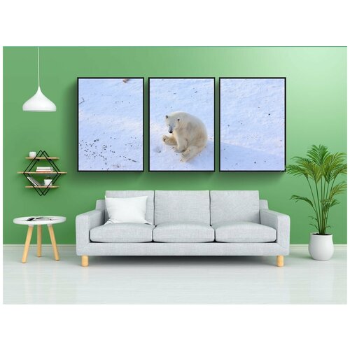 фото Набор модулных постеров для интерьера "снег, зима, холодный" 60x90 см. в тубусе, без рамки lotsprints