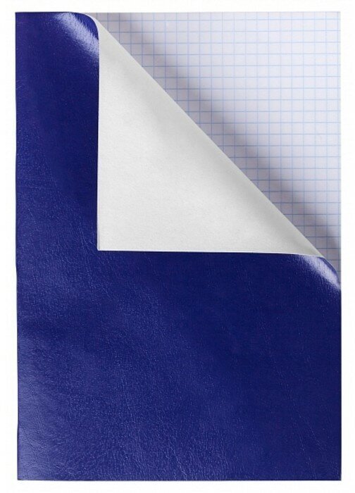 Hatber Тетрадь А4, 96 листов клетка Синий, обложка бумвинил, блок 60 г/м2