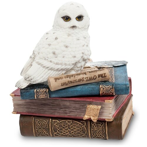 фото Шкатулка сова на книгах размер: 11*9*6,5 см veronese