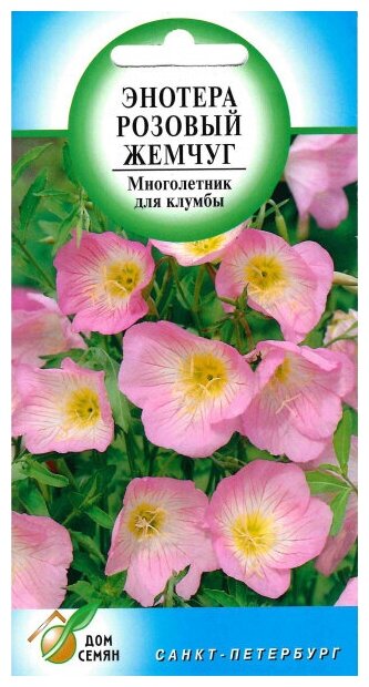 Энотера Розовый Жемчуг, 100 семян